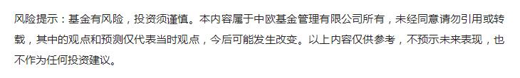 投资中遇到的黑天鹅事件,如何应对外汇黑天鹅事件