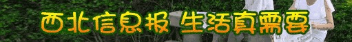 扶风杏林镇菊花村,扶风县杏林镇菊花村虢家组村长