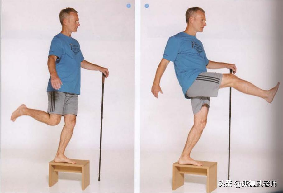 臀部肌群解剖,臀部肌功能解剖