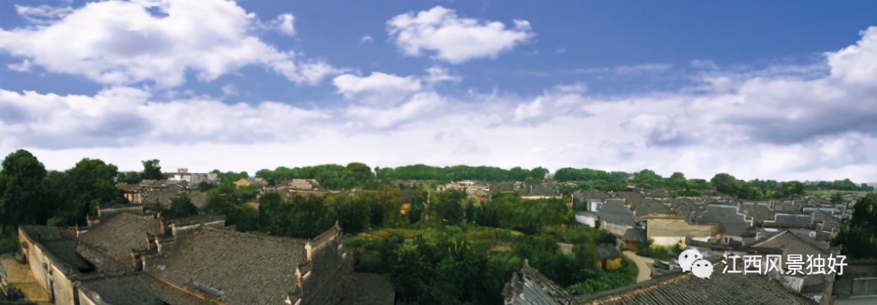 朱虹十论江西文化,朱虹个人简历