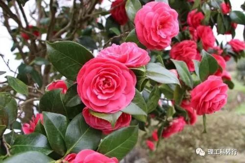 环境工程就业方向及前景,环境工程就业难吗