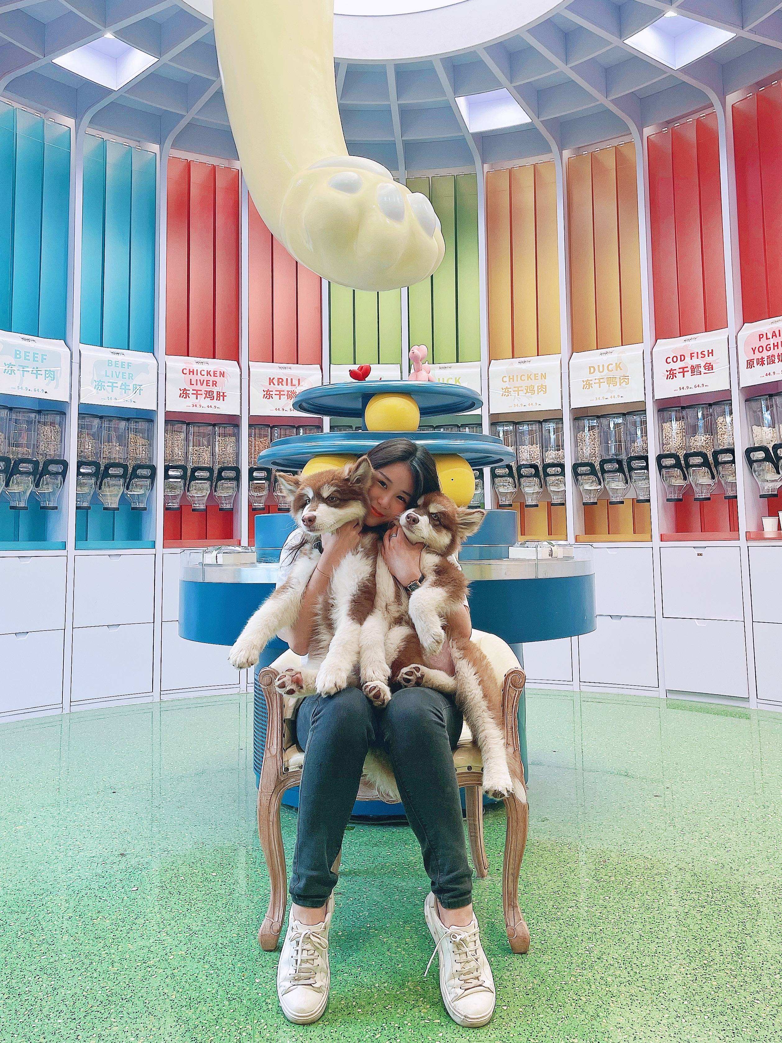 第一次养阿拉斯加犬需要关注什么,阿拉斯加犬怎么养新手必看