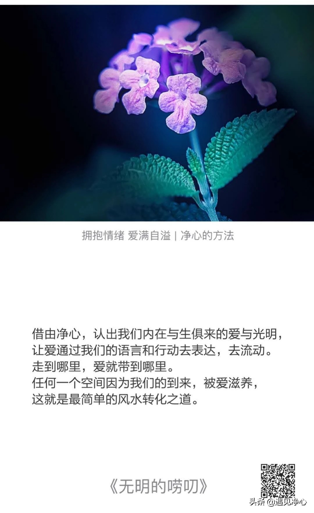 父亲的病个人感悟50字,父亲的病主要内容和感悟