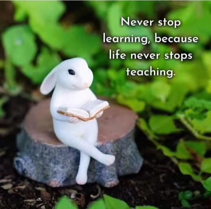 这个小孩有点可爱,这个孩子很可爱英语