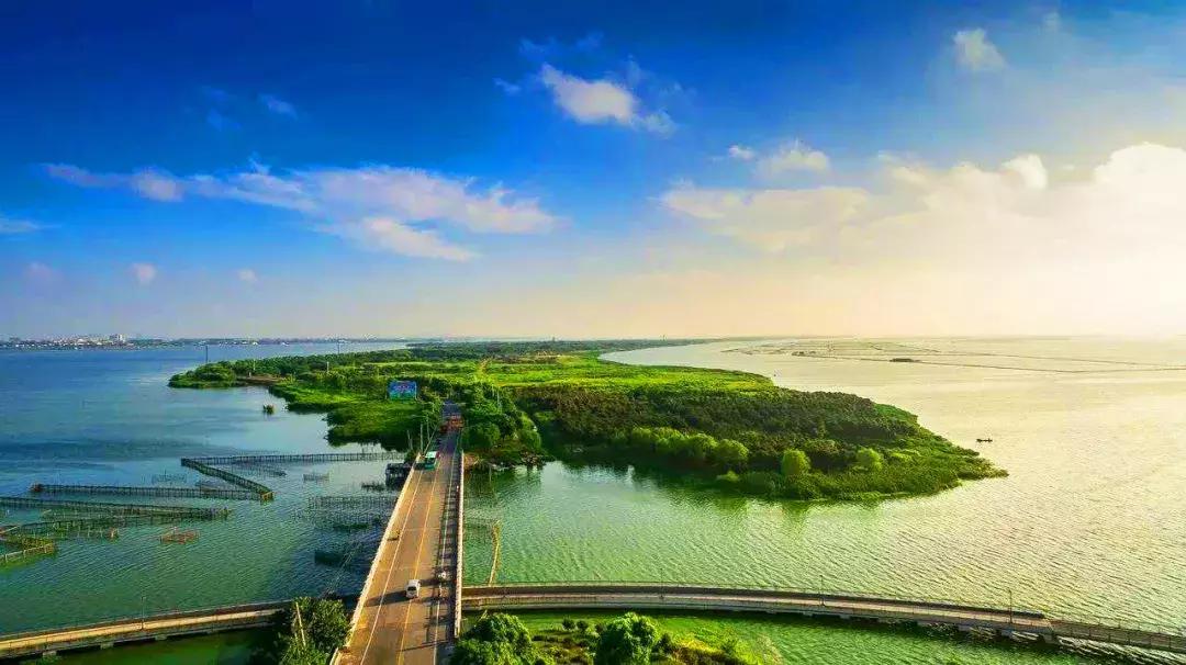 大闸蟹有必要买阳澄湖的吗,大闸蟹为什么阳澄湖出名