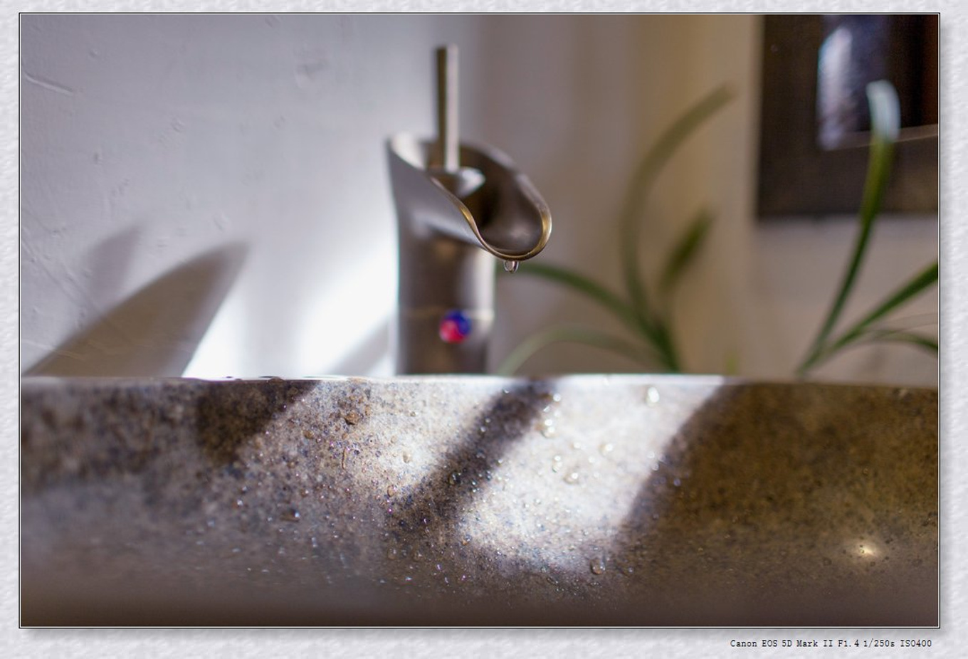 常州旅游东方盐湖城,骆驼之旅视频