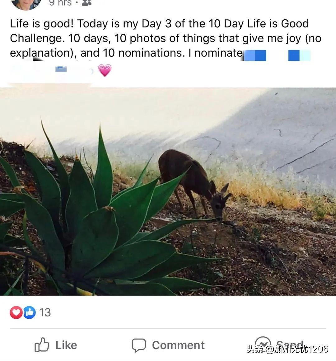 美国确诊超481万,美国确诊病例超115万例