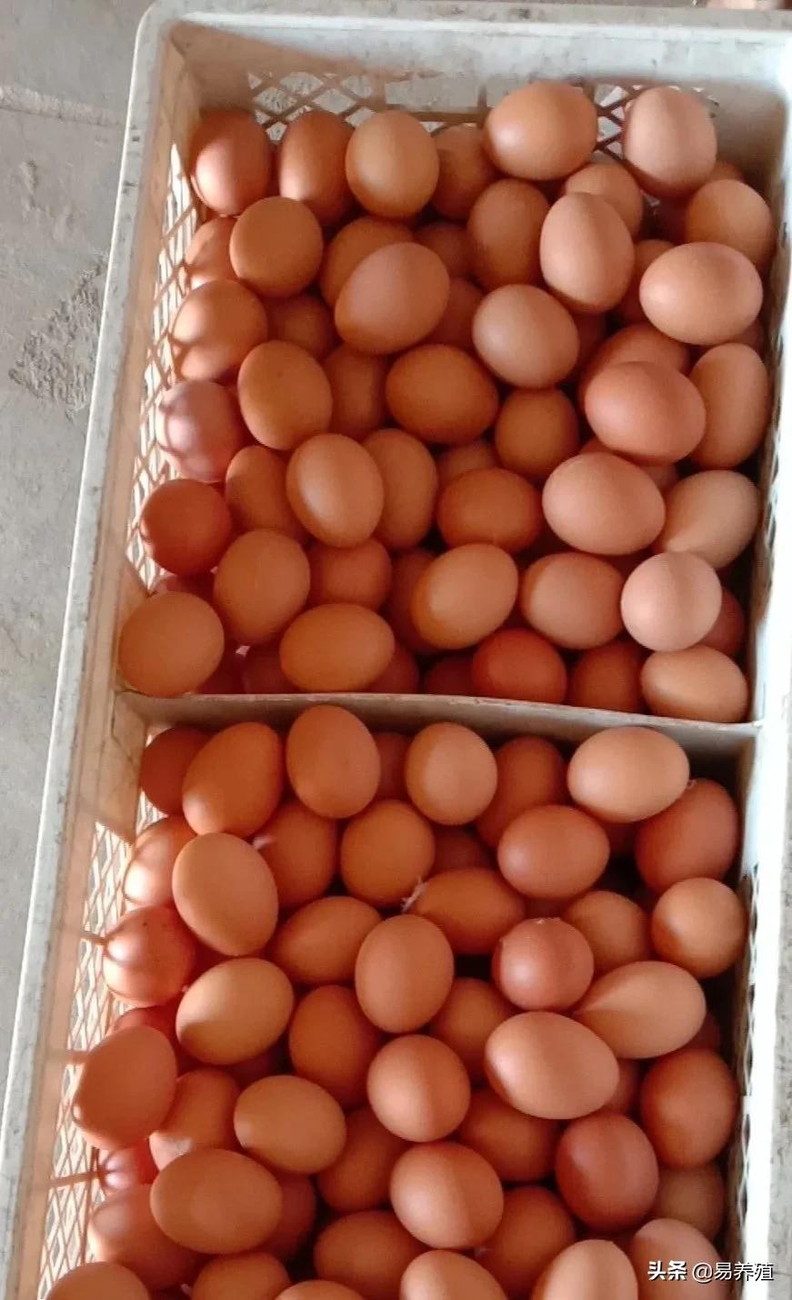 顽固性输卵管炎，反反复复怎么办？