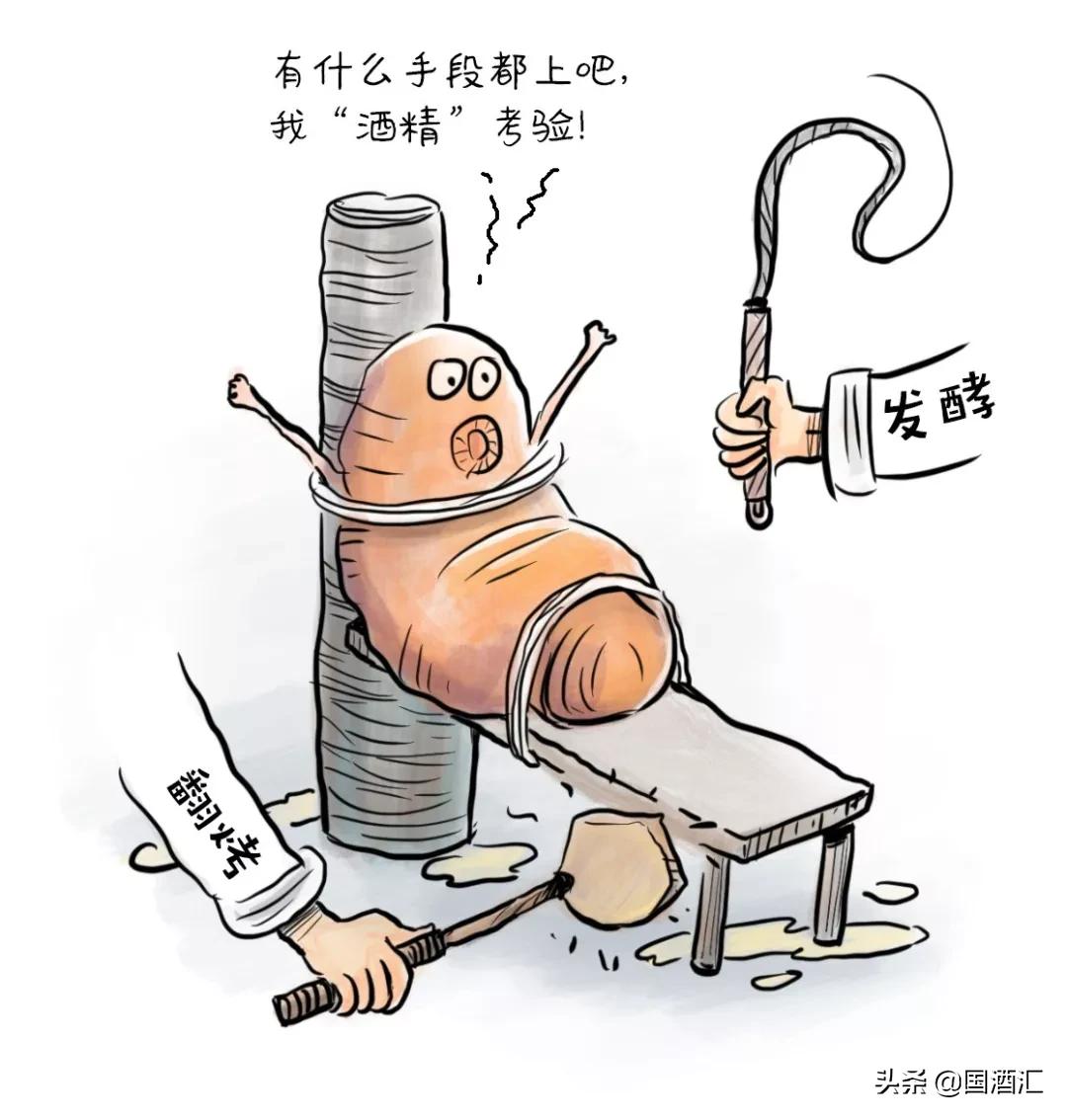 高粱和小麦酿酒口感好吗,高粱和小麦一起酿酒好喝吗