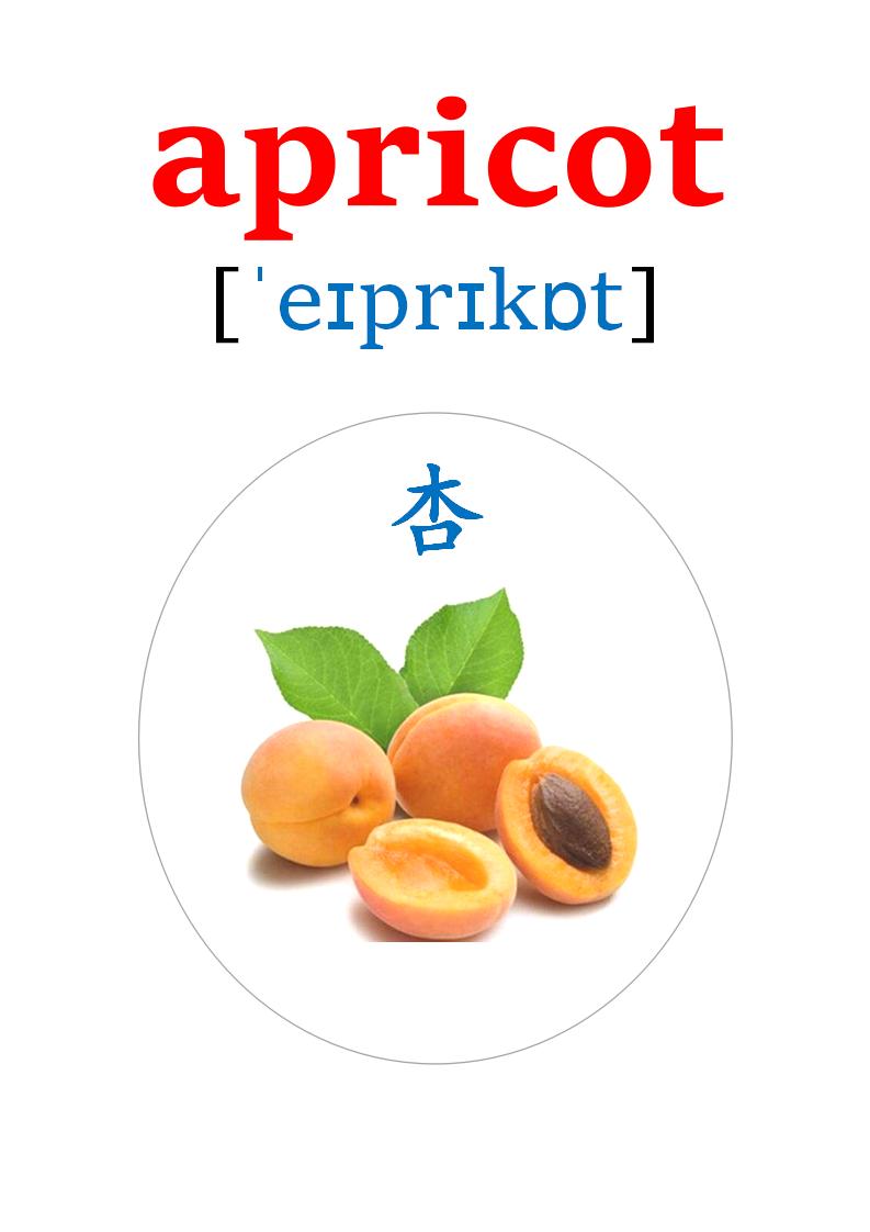 英语卡片20多种水果的英语单词,英语卡片水果种类