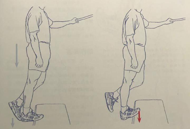 踝关节体态评估,体态评估如何评估踝关节内外翻