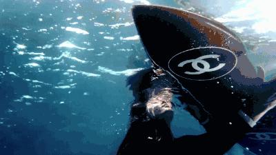 减肥产品减肥法,不需要钱的减肥法