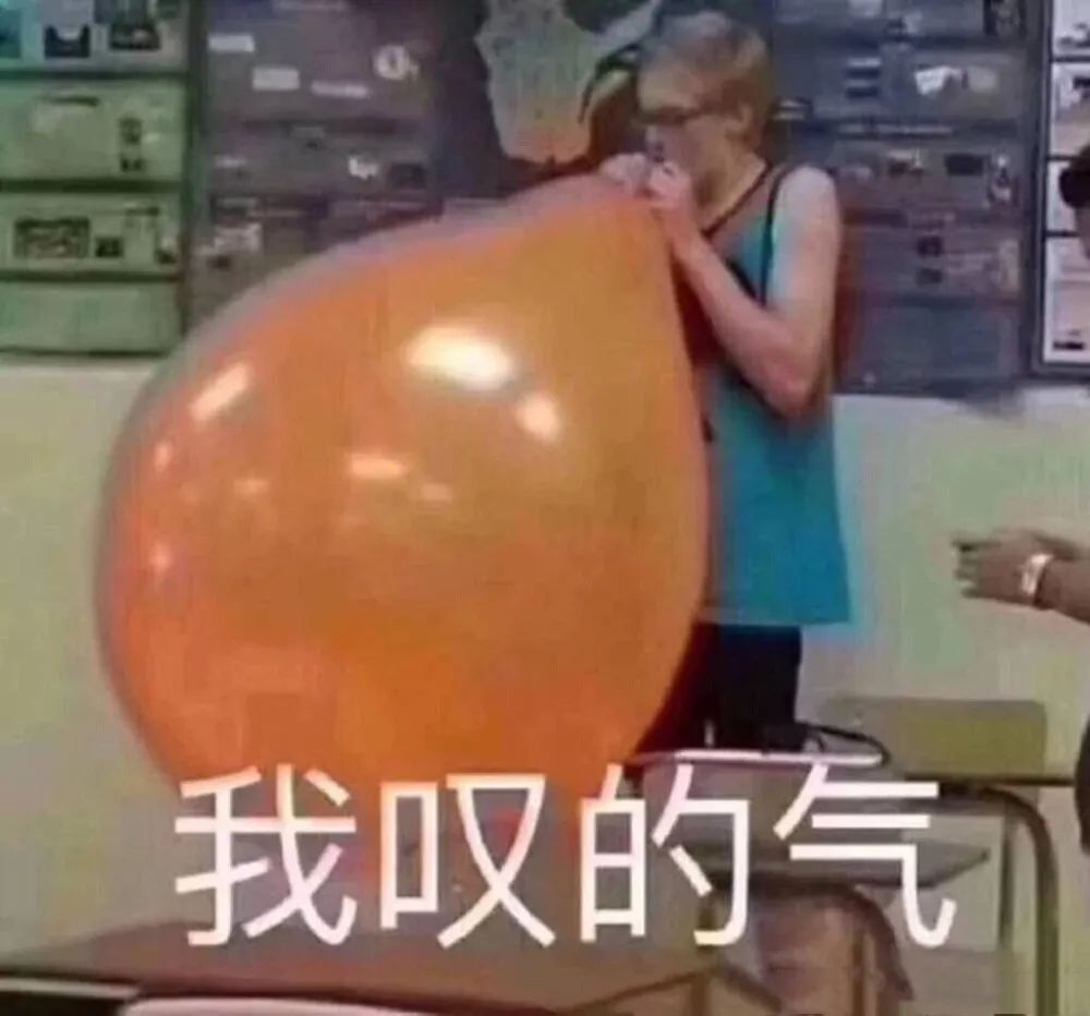 麦富迪牛肉双拼狗粮金毛泰迪20斤,双拼猫狗粮