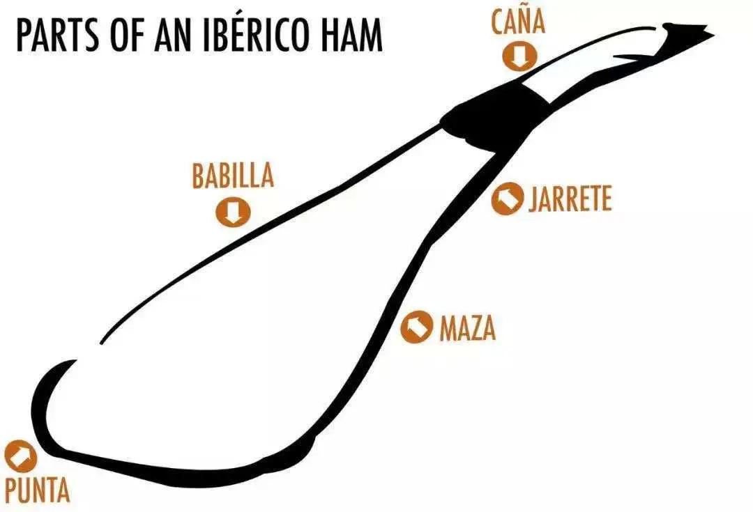 火腿西班牙为什么那么贵,10000元西班牙顶级火腿