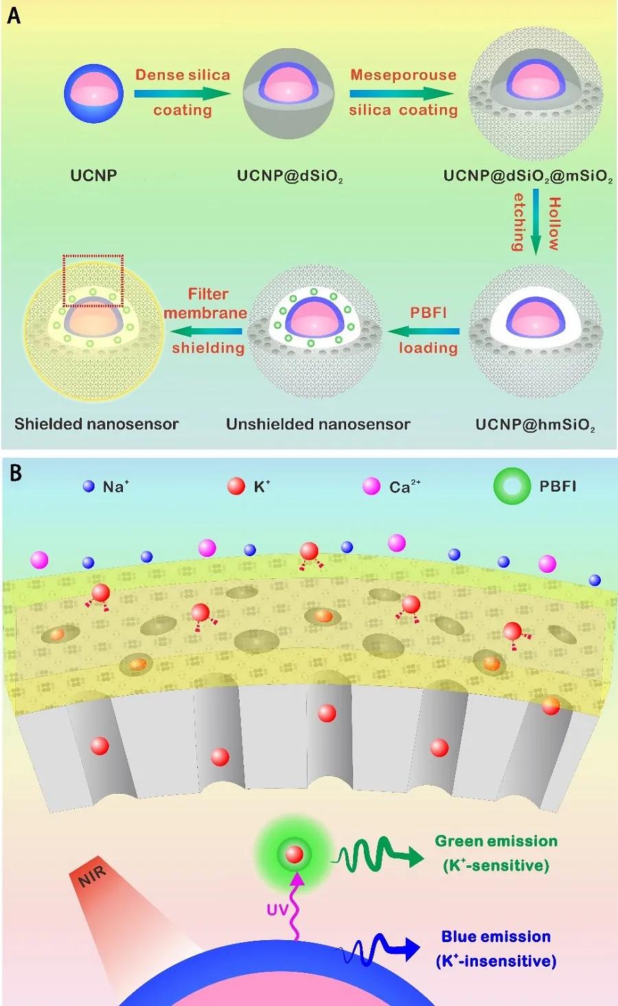 中科院神经所好不好,中科院神经所复试