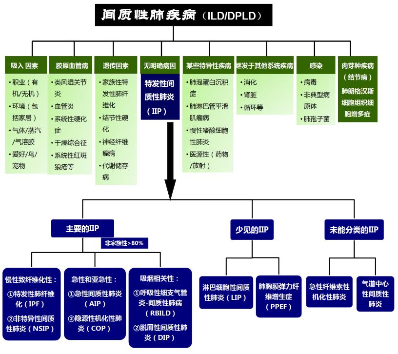 间质性肺病是啥,间质性肺病是什么病严重吗