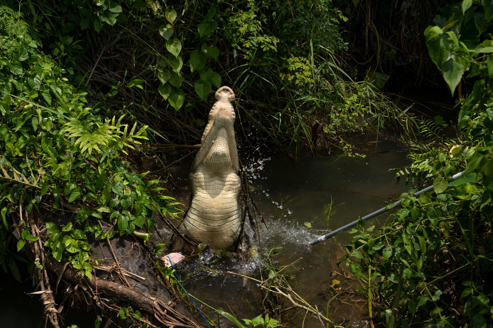 生产一个女包要多少钱,生产一个箱包的机器多少钱