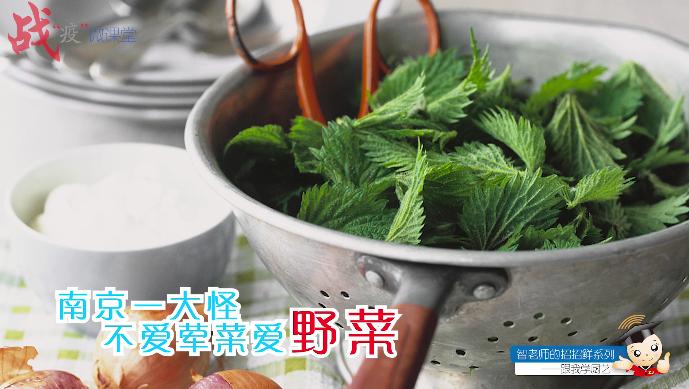 “智老师的招招鲜”微视频课程15《马兰头馄饨》（附视频）