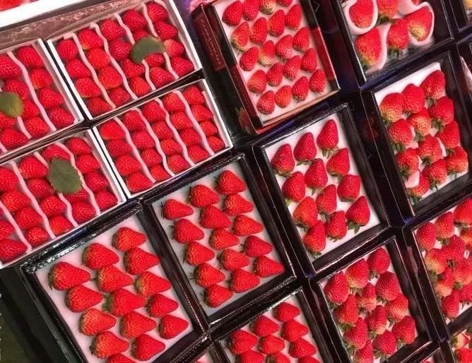 深圳最便宜年货批发市场货源,深圳年货市场哪里便宜