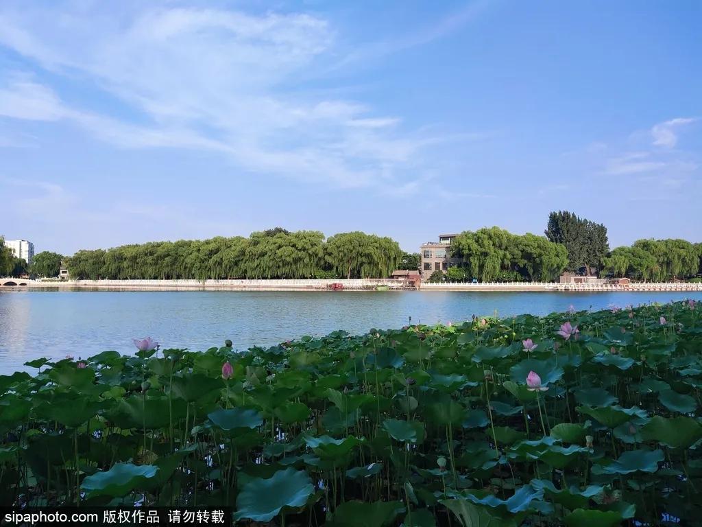 北京不需要预约免费的打卡地,不需预约打卡地北京