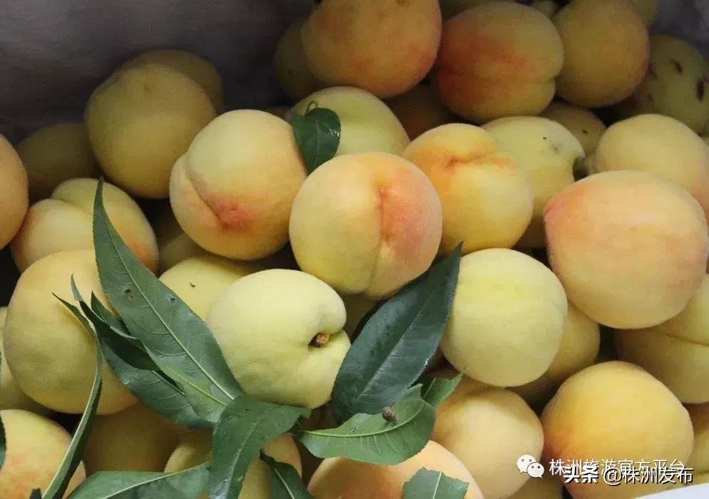 大家好，我叫炎陵，这是我的自我介绍，我想让你更懂我