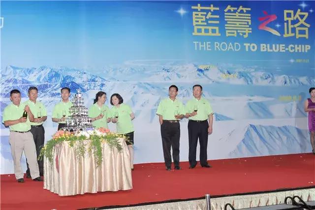 华润电力增发,华润电力跌8.24%