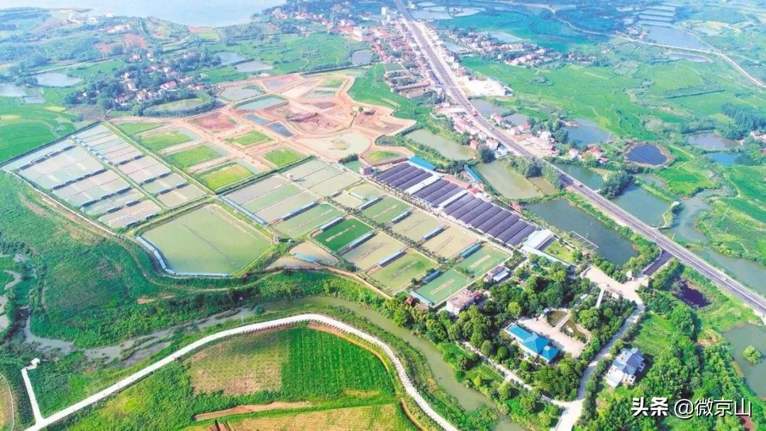 湖北京山有个农场,湖北省京山市农场