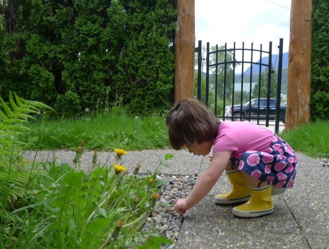 华人女子嫁老外后孩子竟然被养成这样!加拿大老公立下7条铁律