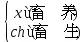 部编版语文六年级下册知识点归类,部编版六年级下册语文知识点汇总