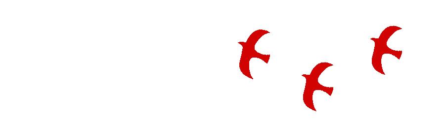 传承五四薪火展现青春风采高清,传承五四精神激扬青春风采图片