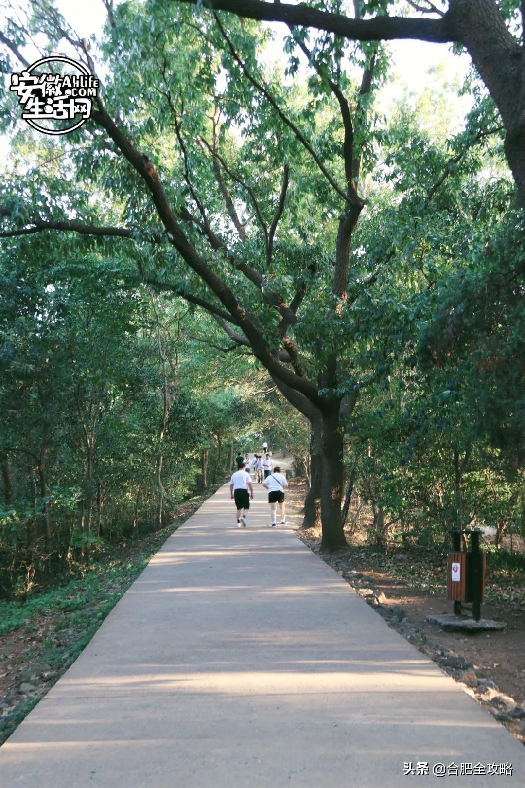 大蜀山,大蜀山爱情故事