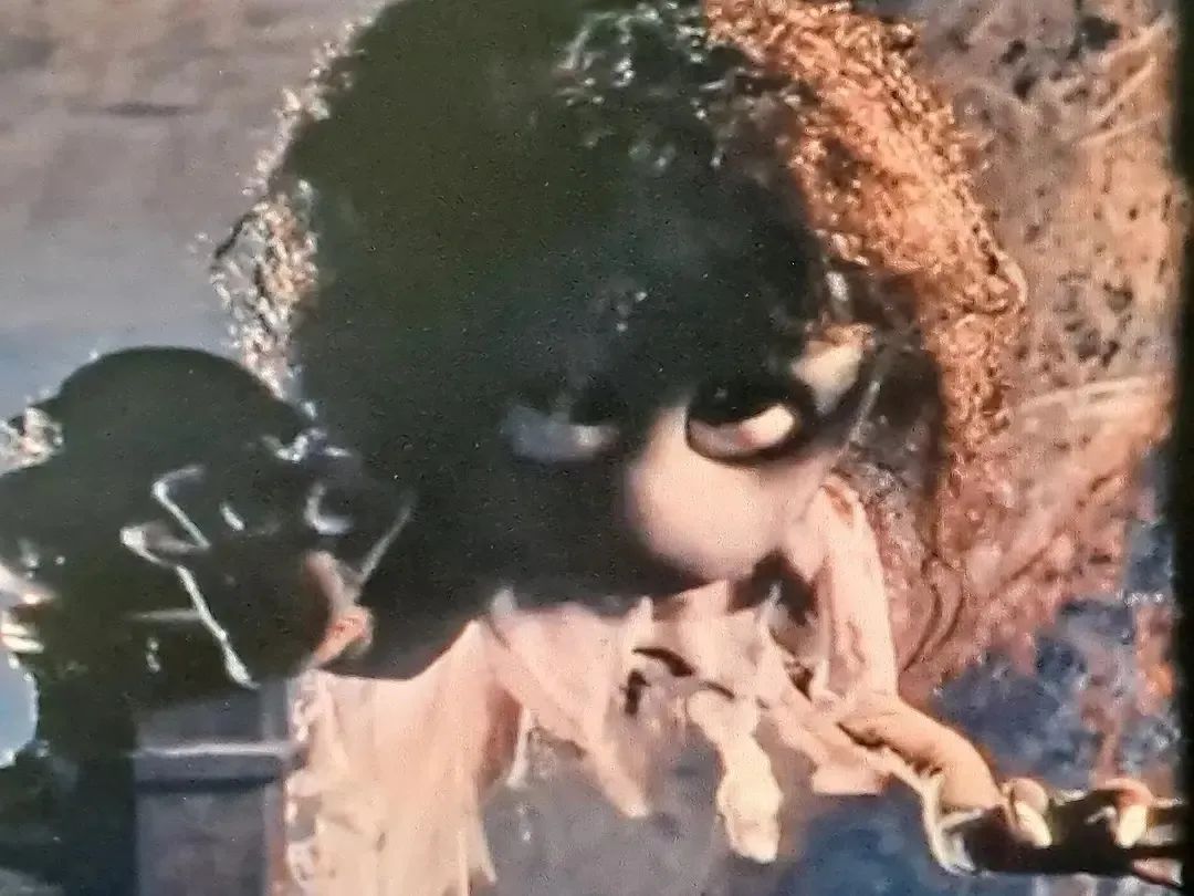 那些年我们一起看的经典电影,那些年我们一起看过的动画