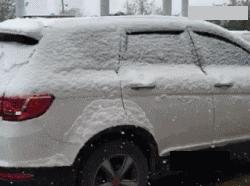 遇到蟑螂该怎么处理快速解决,捉到一只蟑螂怎么办