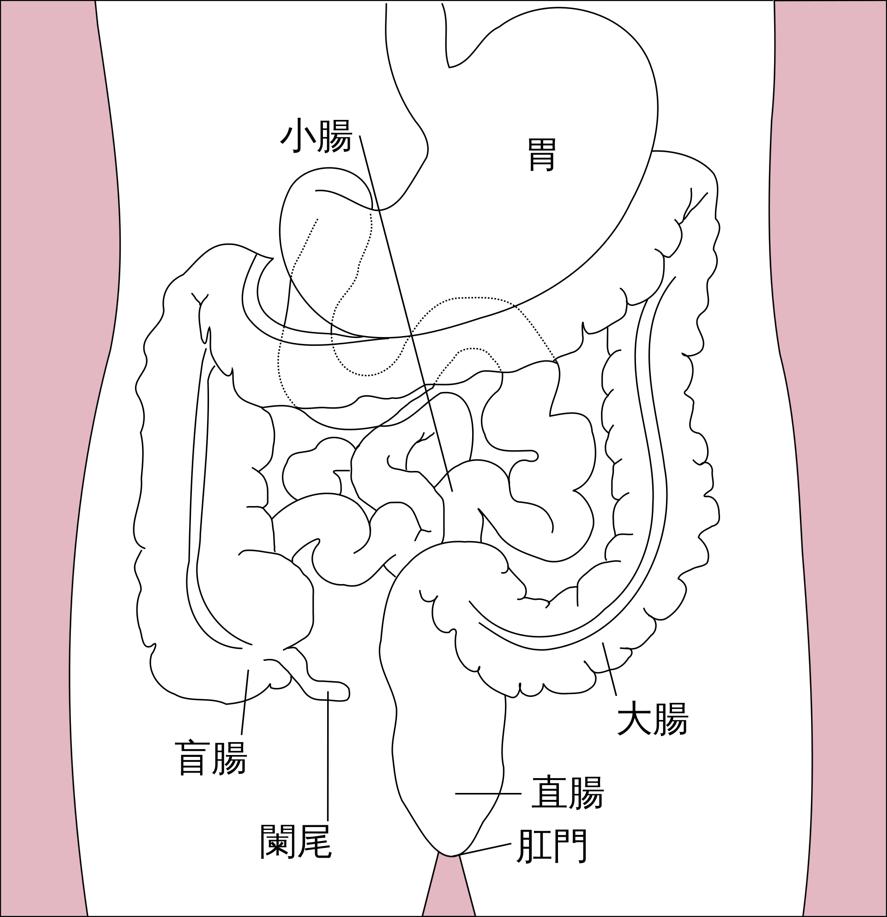 听说过结肠癌、直肠癌，那结直肠癌的结直肠在哪里？