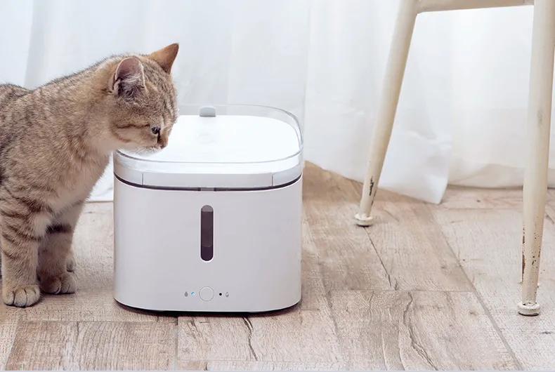 猫咪必备10大神器,猫咪必备神器排行