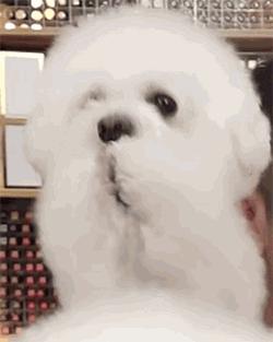 破产？品质和性价比兼具的露华浓，是你不能错过的宝藏品牌