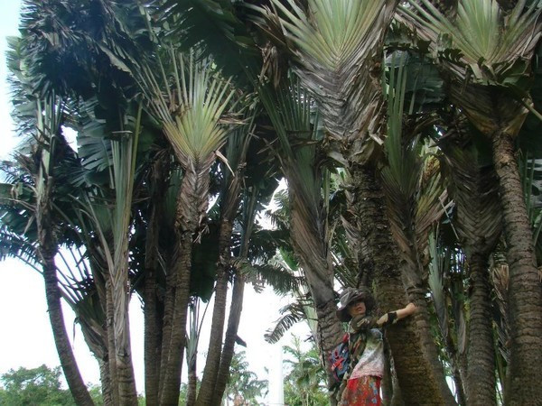 一个人在海边玩一天,一个人在海边怎么玩