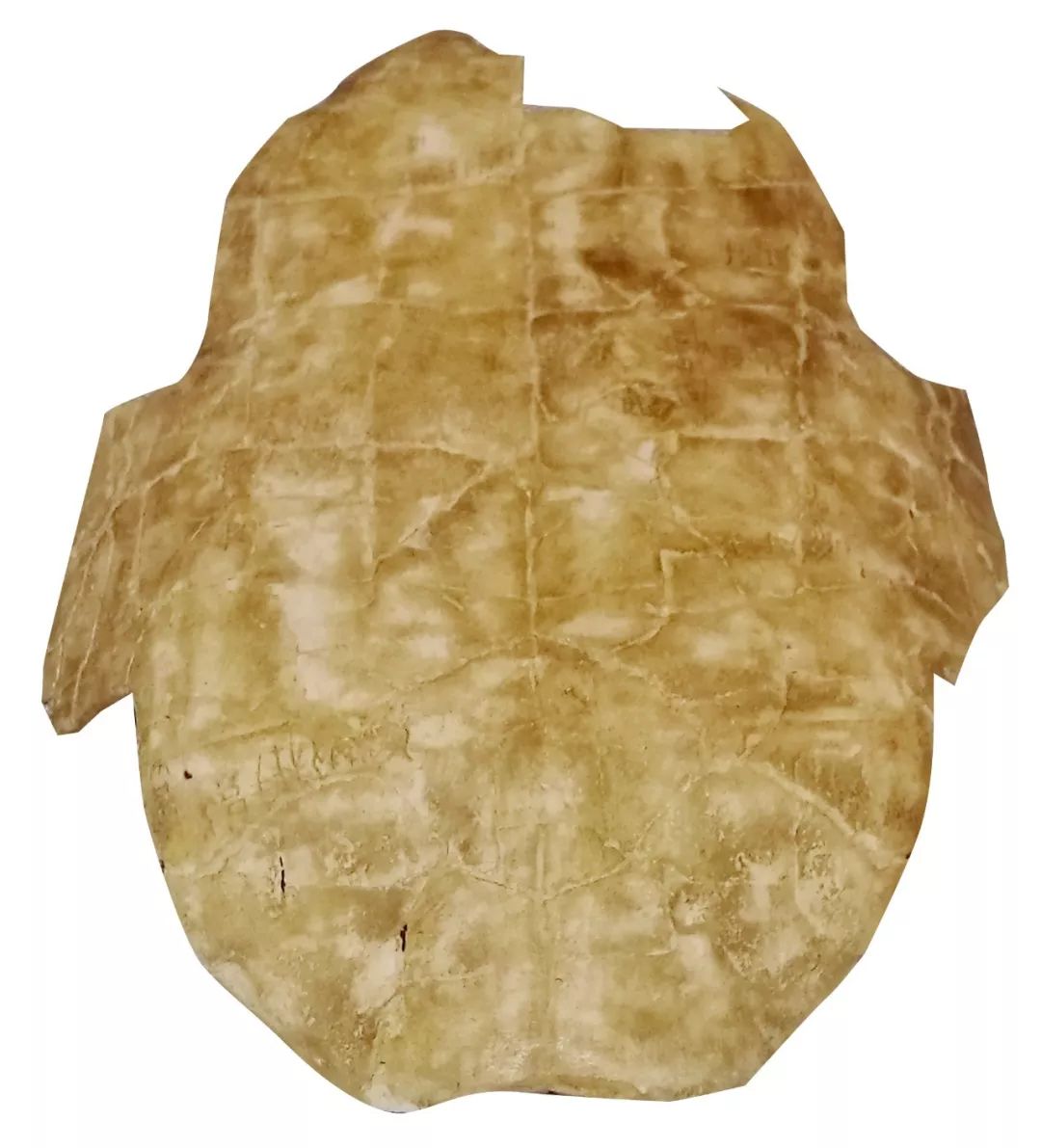 甲骨文书法图片大全,甲骨文书法图片高清