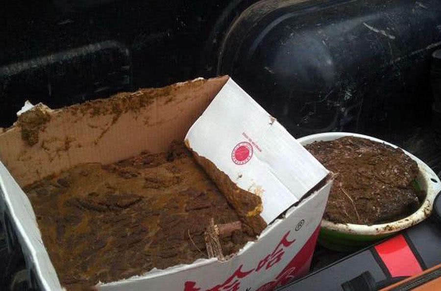 玉米粒钓大鱼最佳钓鱼方法,如何正确用玉米粒钓鱼