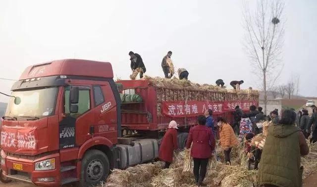 疫情期间你还能熬住吗,疫情期间你还熬得住吗