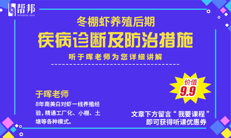 冬棚养虾气温高怎么管理,冬天大棚养虾关注什么
