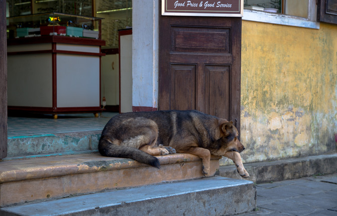 华人在越南经济地位,华人在越南的历史