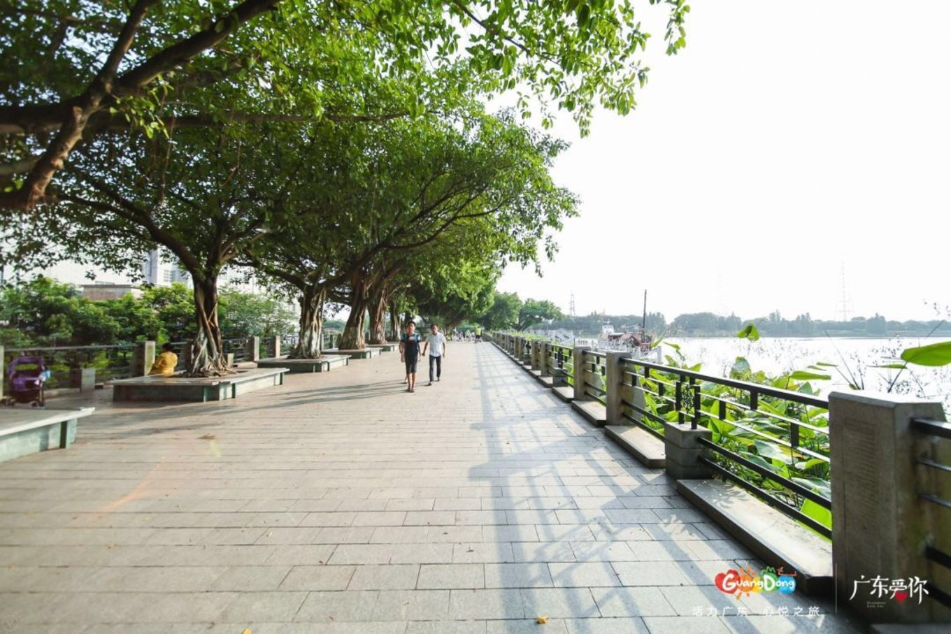 广东最美乡村两日游攻略图片,岭南古村落游玩