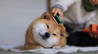 鼻炎发作时怎么缓解鼻炎症状,如何区别鼻炎和感冒