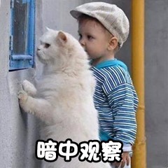 cad图纸如何批量转换成pdf格式,cad一套图纸怎么转换成一张pdf