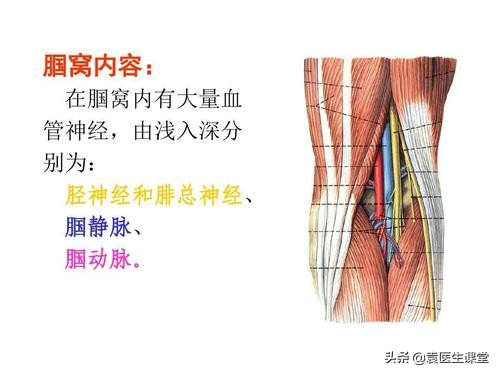 什么原因引起小腿麻木疼痛脚上无力？医生：这根神经有问题