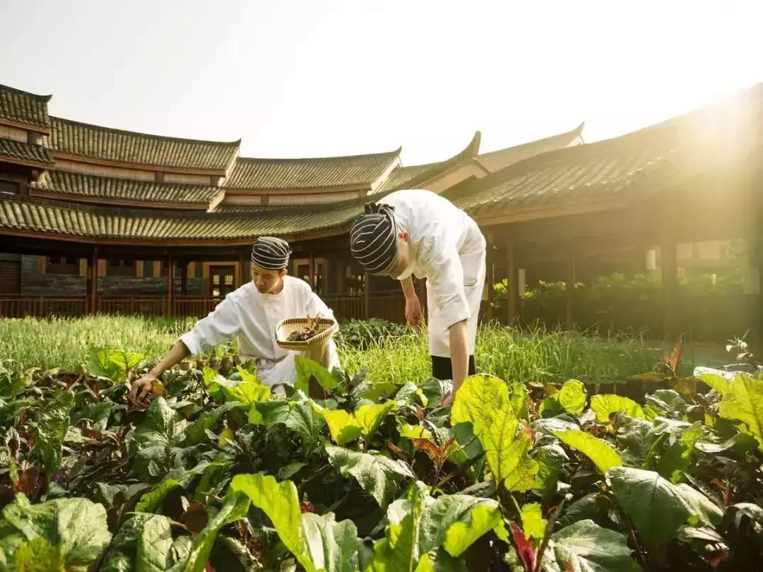 中国最闲适的城市,中国最悠闲城市