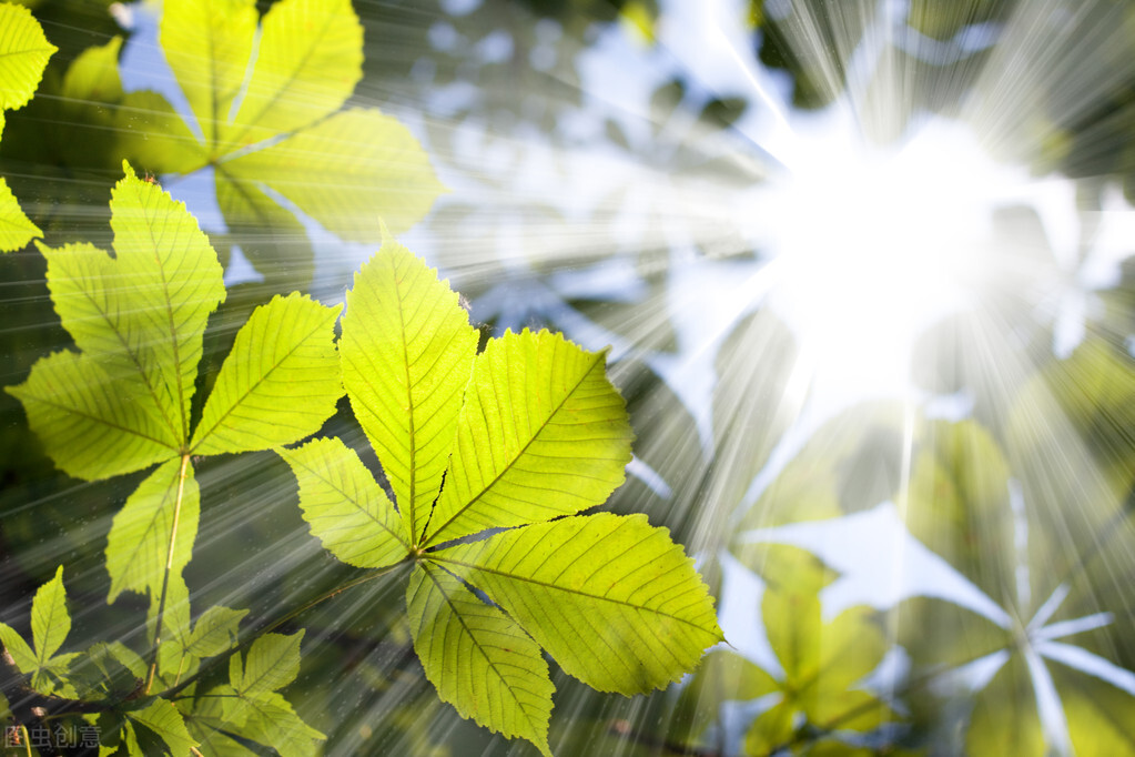 工作不顺利心情很不好,工作态势不好心情烦躁