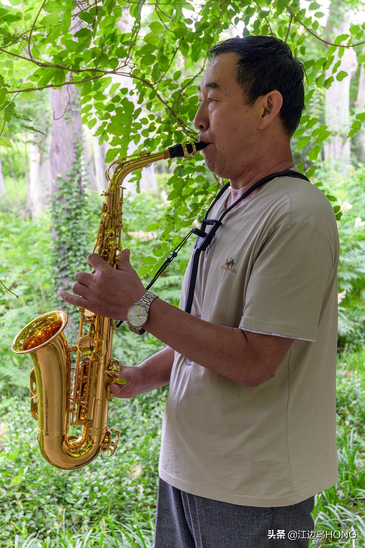 尼康z50双头套机价格,尼康z套机最低价7849