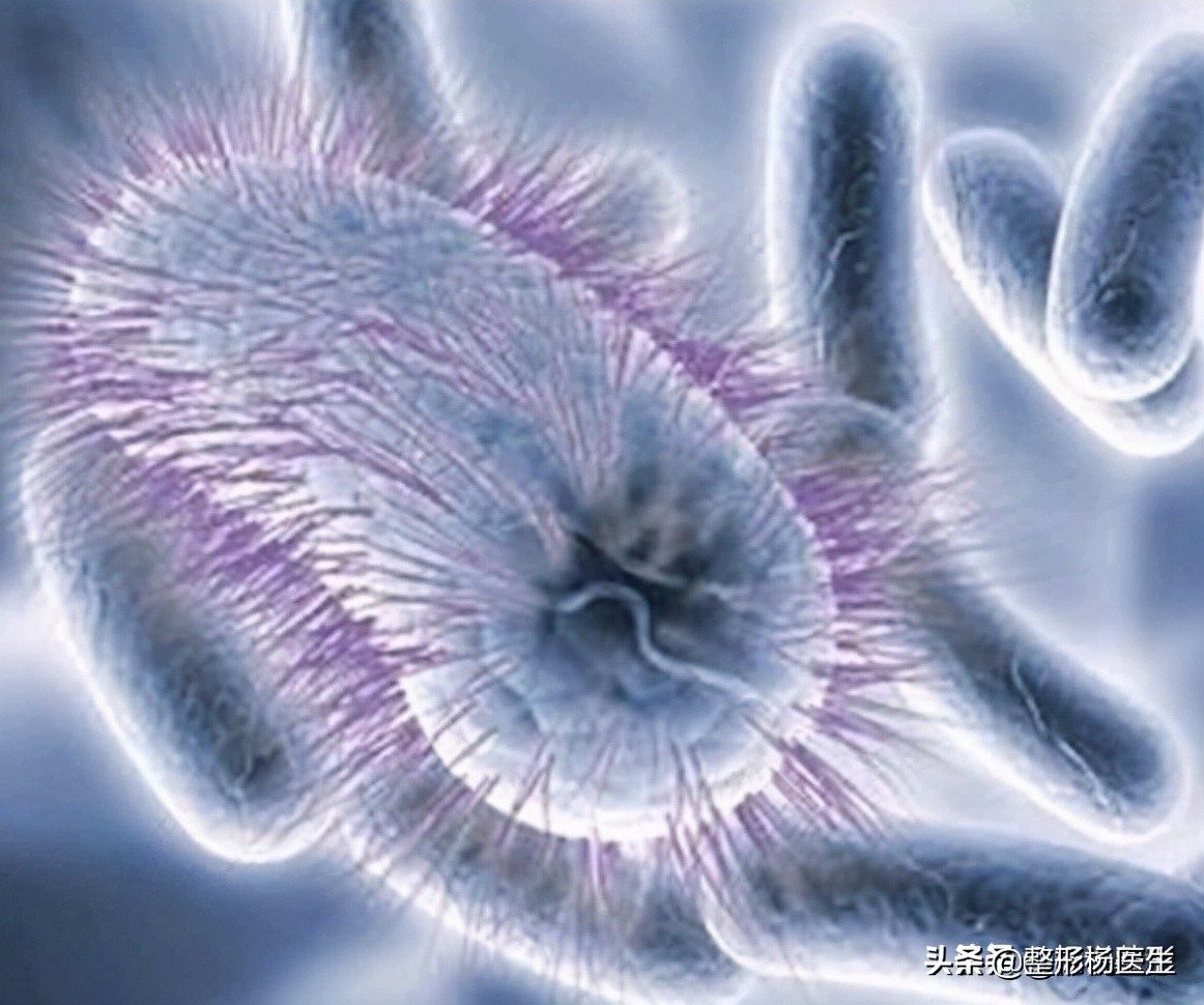 20岁面部凹陷如何改善,脂肪填充面部凹陷怎么导致的呢